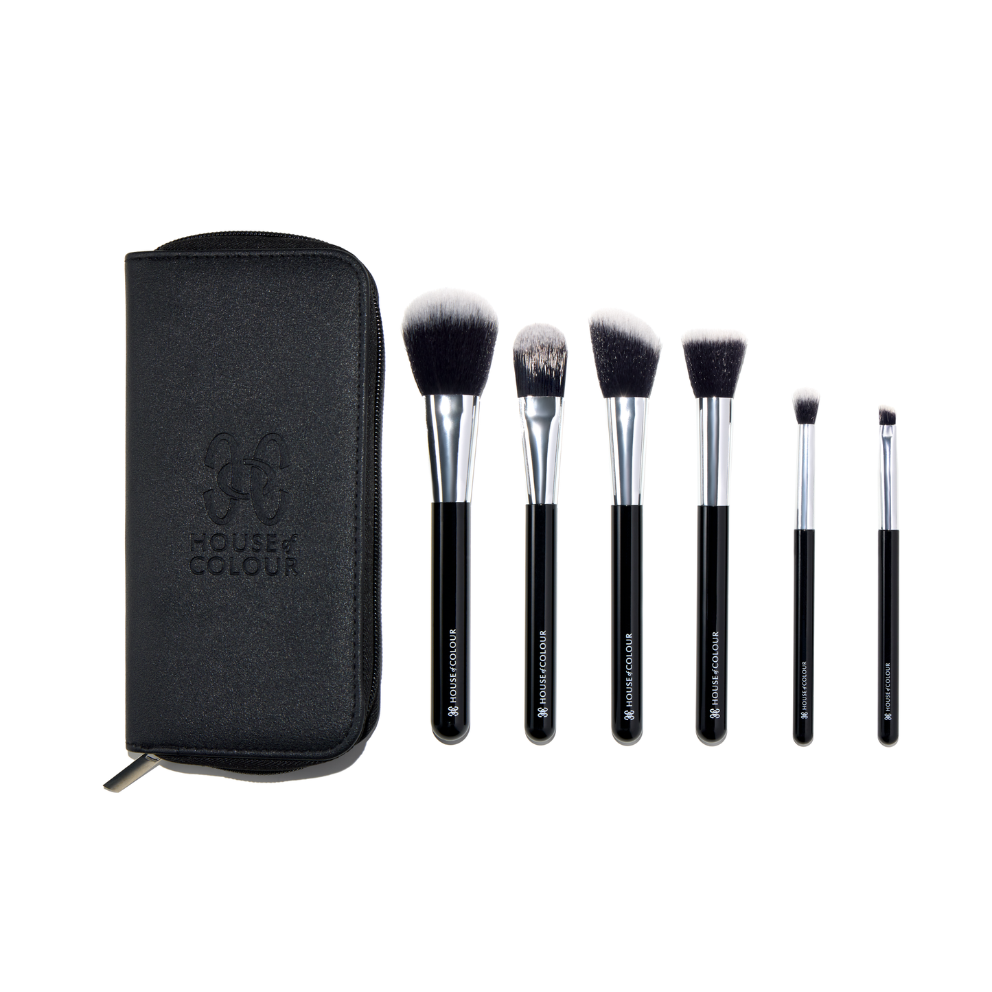 Makeup Brushes 6 piece Travel Brush Set