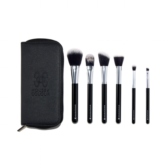 Makeup Brushes 6 piece Travel Brush Set